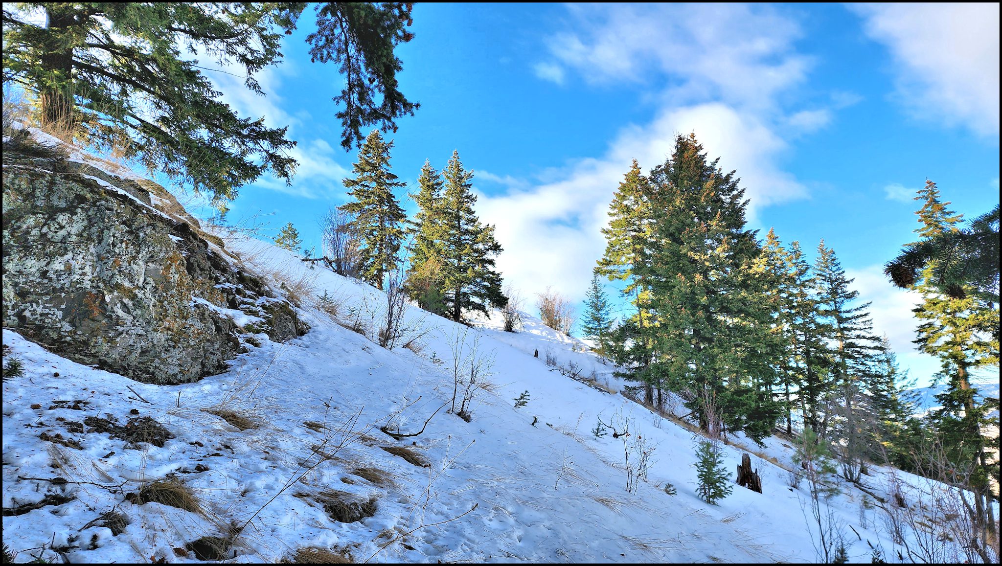 Kinnikinnik Loop - Kamloops Trails | Kamloops.me