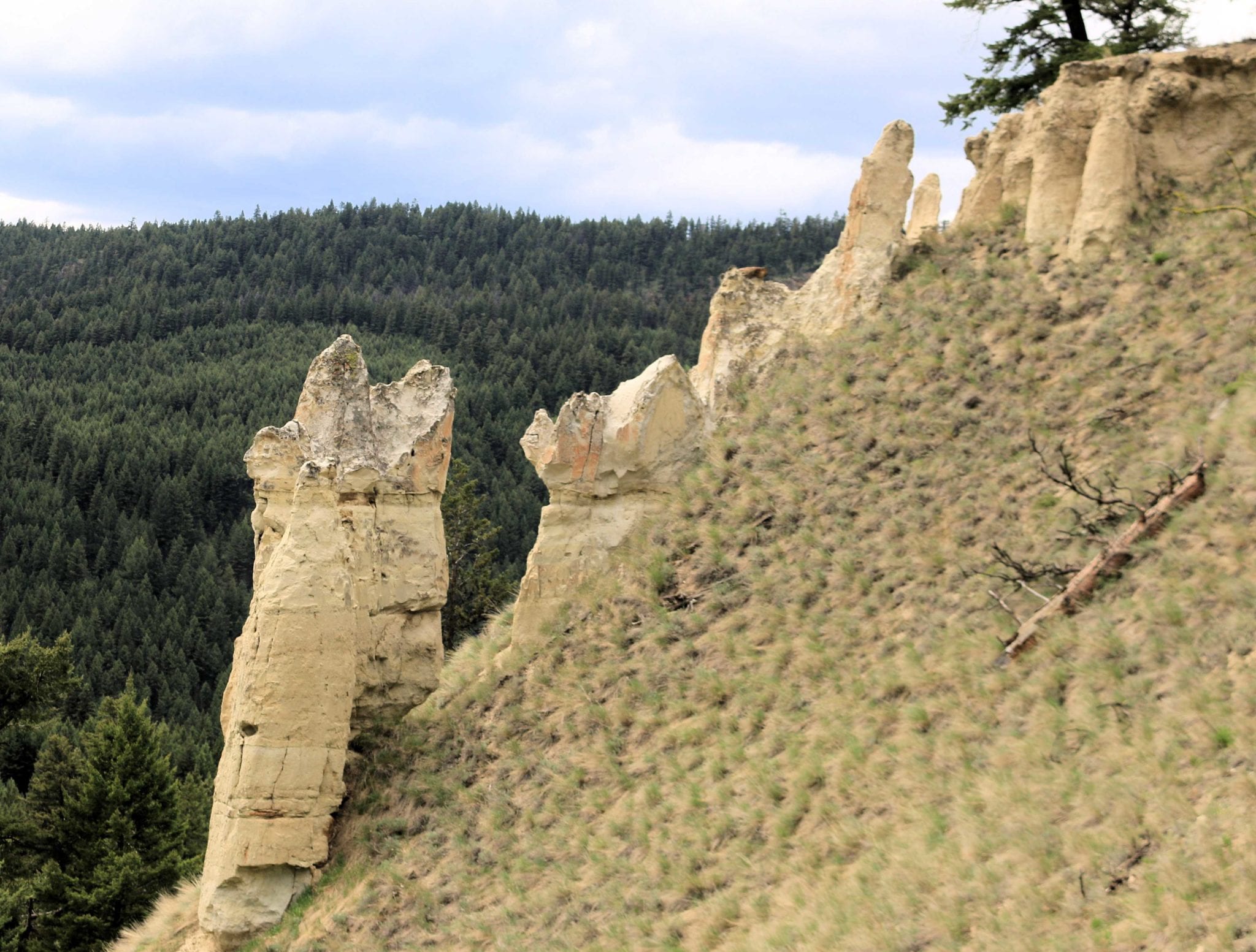 Deadman Valley - Kamloops Trails