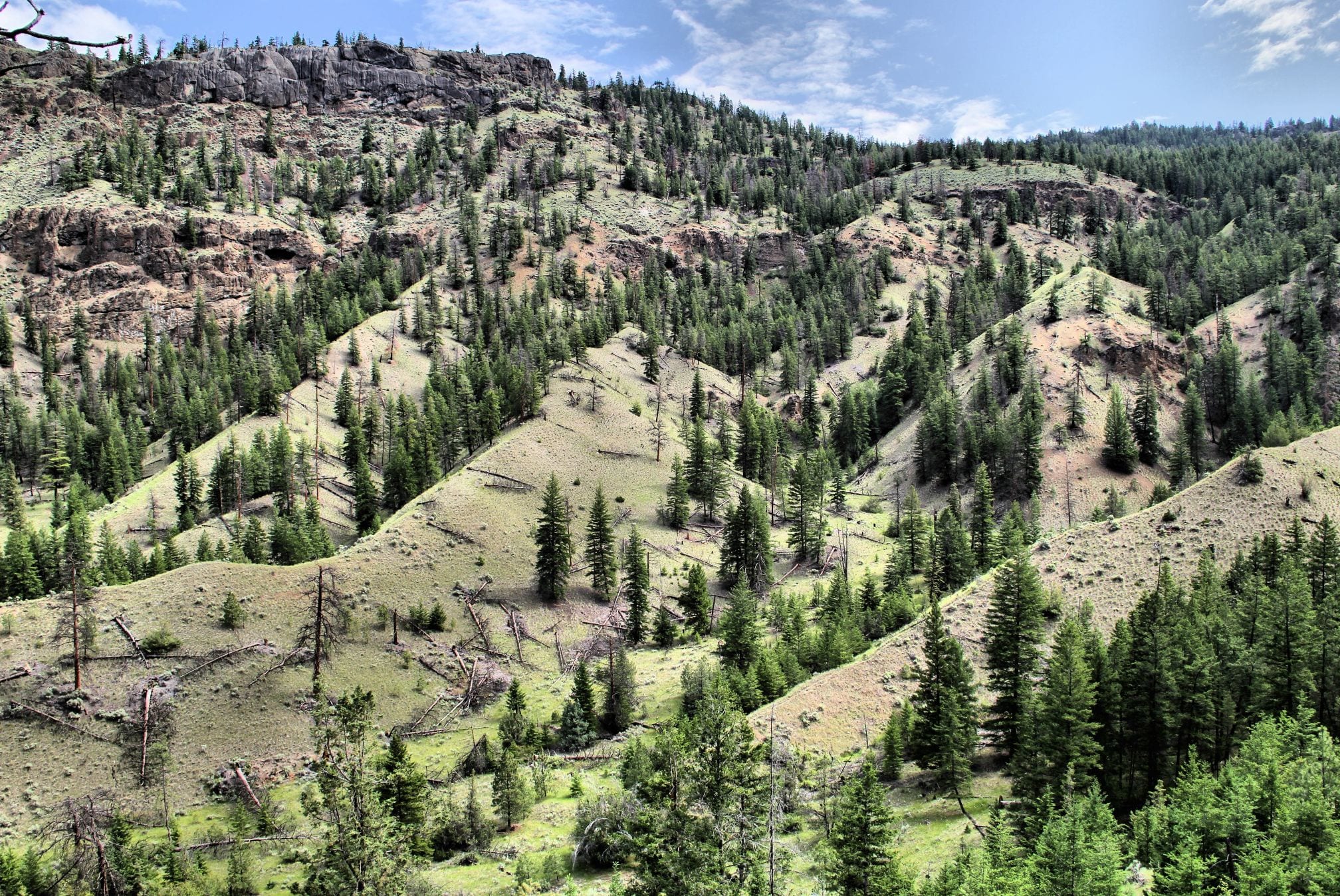 Tranquille River Canyon - Kamloops Trails