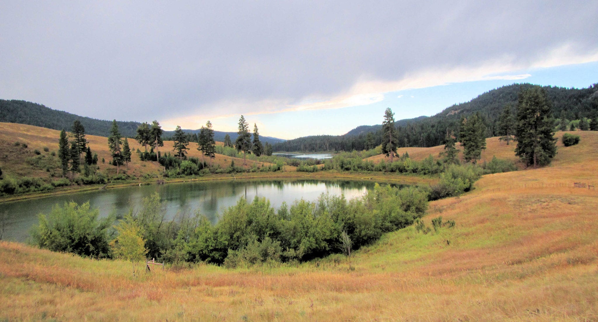 Kentucky – Alleyne Lakes - Kamloops Trails