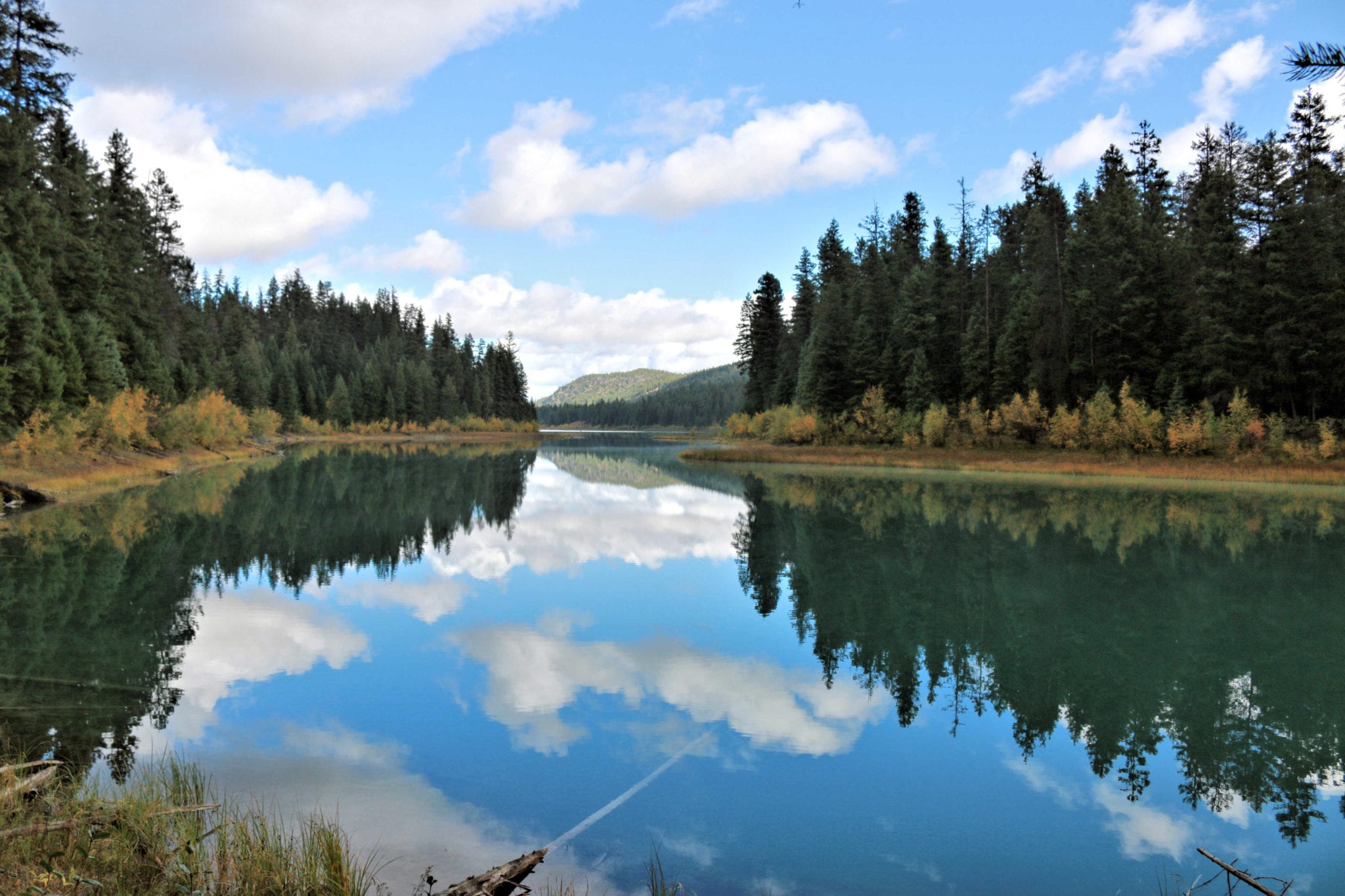 Kentucky-Alleyne Trails - Kamloops Trails