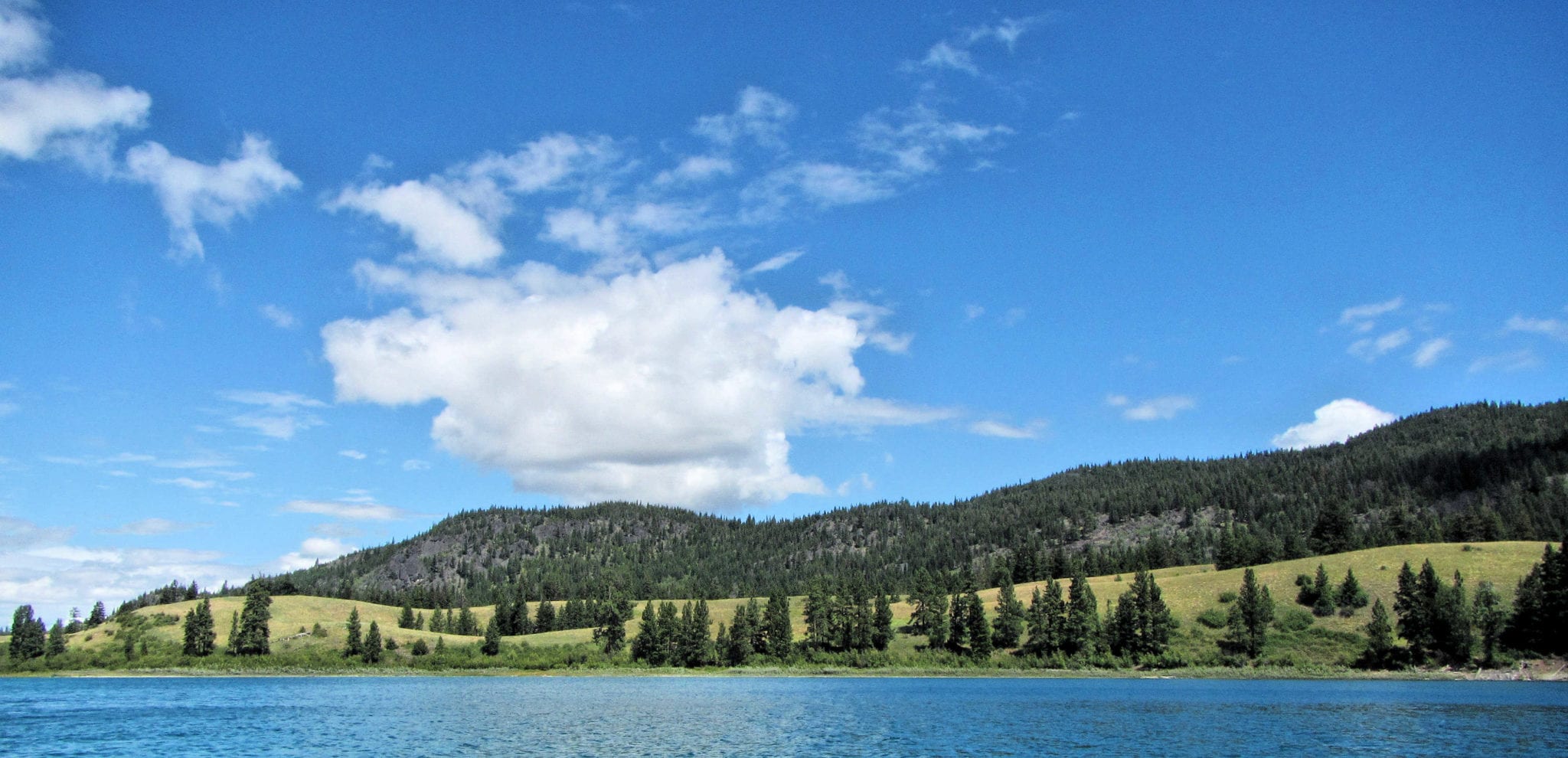 Kentucky And Alleyne Lakes Paddling - Kamloops Trails